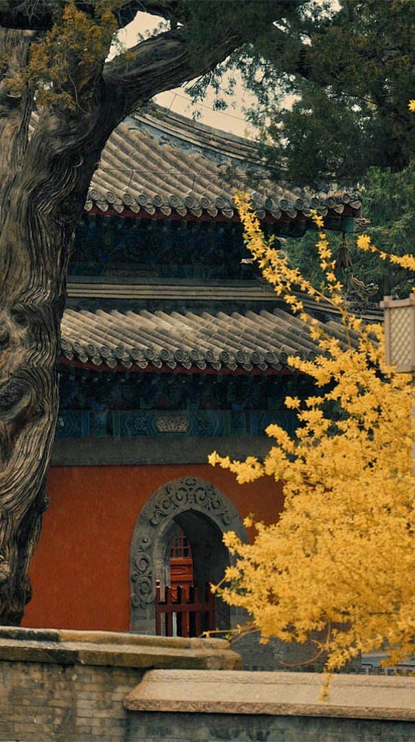 "
没有人会去帮助一个毫无价值的人，
你...