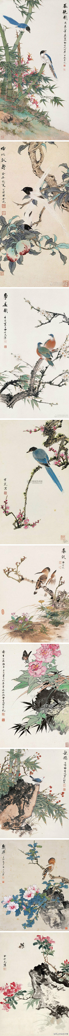 万分子一的奇迹采集到花鸟