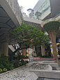 IMG_20241020_083857