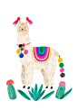 Alpaca6