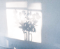 八个投影