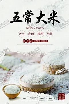 五常大米食材促销活动海报素材 【酷图网】五常大米,食材,促销,活动,海报,素材