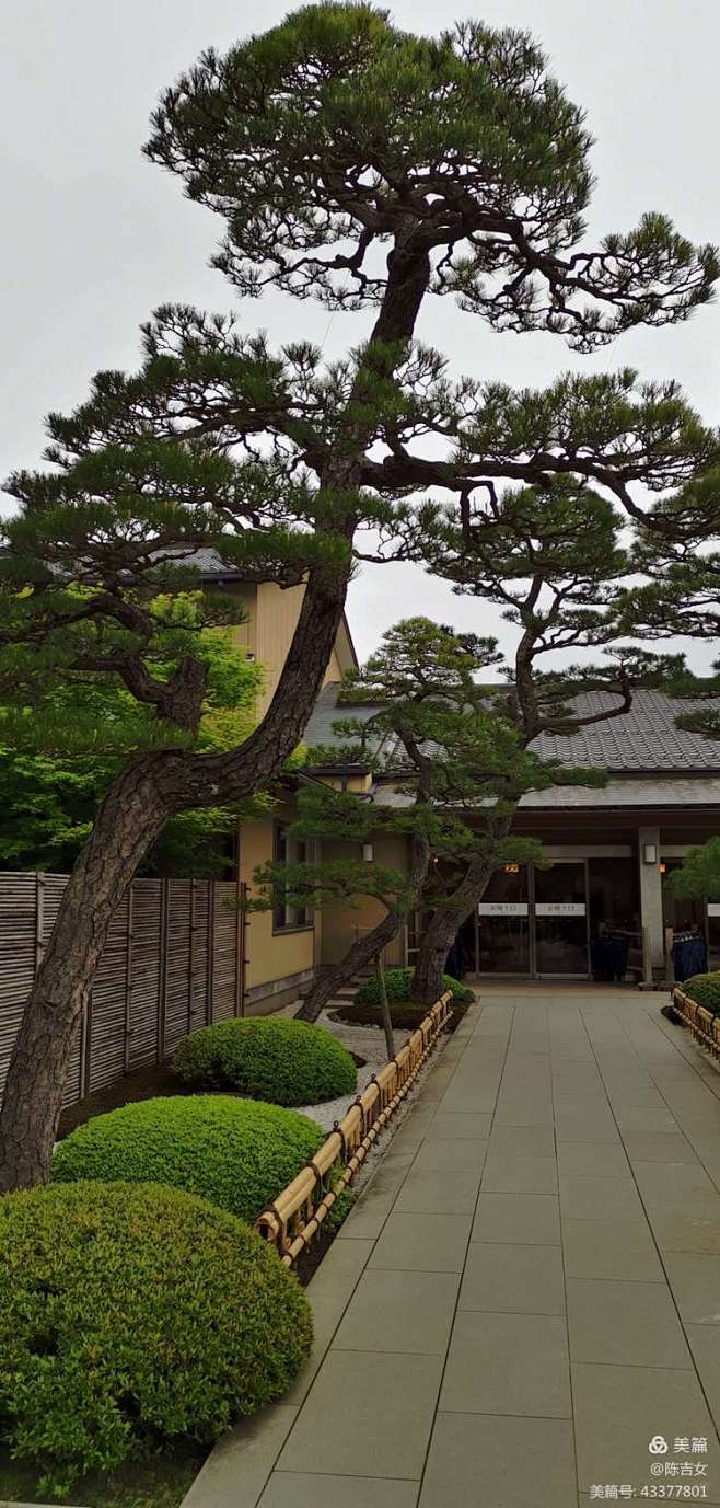 2019年4月人文陈吉女足立美术馆、由志...