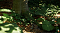 Beech Forest / UE5.1