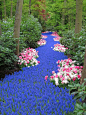 Maybe not make a "river" but mix the pretty colors/flowers  River of flowers #Flowers, #Garden, #River: 