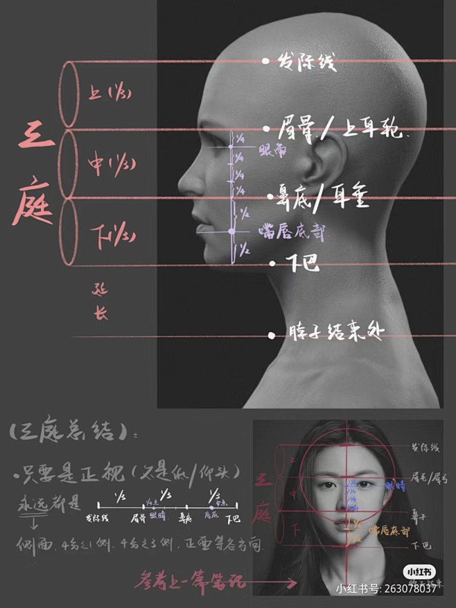 来自分享