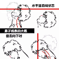 【新手教程】第11期：颈椎篇，关于颈椎骨的碎碎念