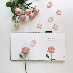 手绘清新水彩插画/花卉植物图鉴/韩国插画师Yirang Kim绘画作品集