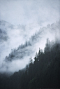 Hadia Gwaii - misty day Gwaii Hanaas national Park reserve, British Columbia, Canada.创意图片素材 - All Canada Photos