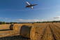 Field of Flight by John McKay on 500px