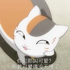 非原作，侵权删 猫咪老师表情包 图文兼容… | 半次元-二次元爱好者社区