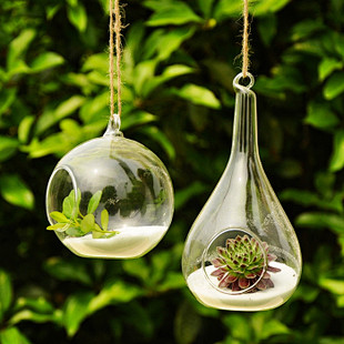 新款创意悬挂玻璃花瓶 简约时尚透明玻璃花...