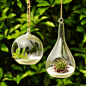 新款创意悬挂玻璃花瓶 简约时尚透明玻璃花器 家居装饰玻璃花器-淘宝网