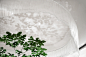 摄影 : A moodboard by bailin Guo on Behance