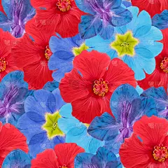 木槿，剑兰，报春花，报春花。插图，花的纹理。无缝模式。花卉背景，照片拼贴制作的纺织品，棉织品。壁纸,
