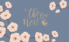 __空白采集到banner
