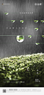 谷雨
