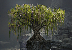 Todt·Lan采集到奇幻精灵风格素材