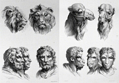 医学插画师动画师阿杜采集到角色设计-人物插画