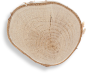 wood_slice.png (372×321)