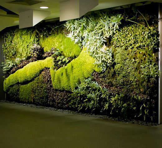 Vertical gardens by ...