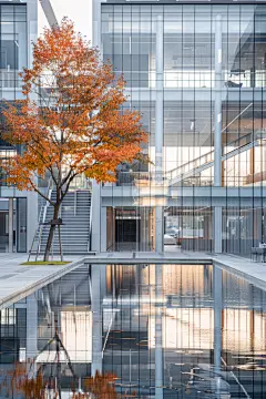 商业广场中庭建筑设计