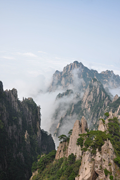 若若玲子采集到背景