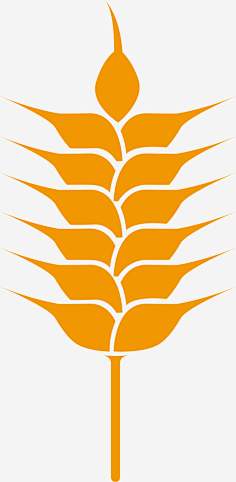 com黄色手绘农作物青稞素材图新图网 https://ixintu.