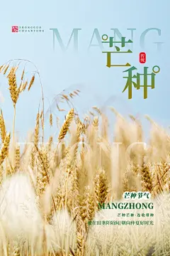 金色稻穗芒种宣传夏季二十四节气芒种海报