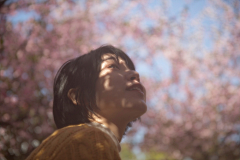 mourning采集到花丛绿园