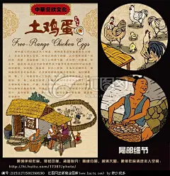 土鸡蛋 手绘 插画 宣传画