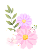 花PNG