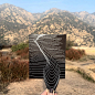 optical-illusions-line-drawing-katy-ann-gilmore-16-5c0672db43907__700.jpg (700×700)