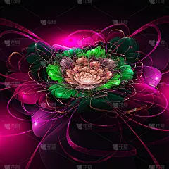 仙女花。莉莉。