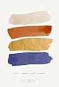 Navy Gold Palette