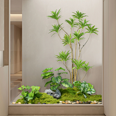 小楊不是Yang采集到绿植合成图