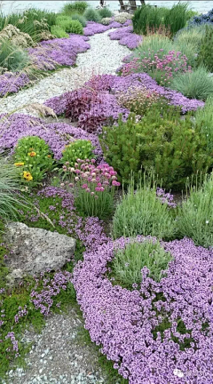 虫虫天堂采集到庭院 花园