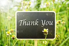 标志,背景,小的,仅一朵花,厚木板,贺卡,水平画幅,顾客,符号,夏天