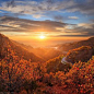 Autumnal Splendor