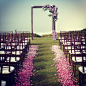 2013年Instagram最美的17张婚礼照片
