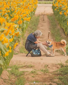 些粉采集到宠物