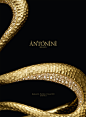 ANTONINI - JEWELRY : Images for ANTONINI jewelrylook at the website http://www.antonini.it