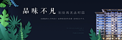 songerzhao采集到生态