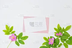 模型白色贺卡和信封与粉红色的小花和绿色的叶子在一个轻的背景