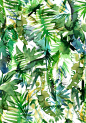 VIBE of the Jungle {A-green} Art Print SchatziBrown..: 