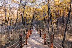 洺枢采集到山路，山道