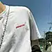 QI七只羊