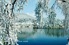 园林雪景摄影背景桌面壁纸图片素材