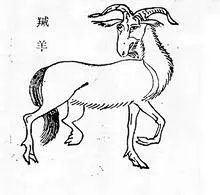 羬羊

《山海经·西山经》：“华山之首，曰钱来之山，其上多松，其下多洗石。有兽焉，其状如羊而马尾，名曰羬羊，其脂可以已腊。”