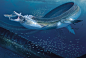 Sea Orm